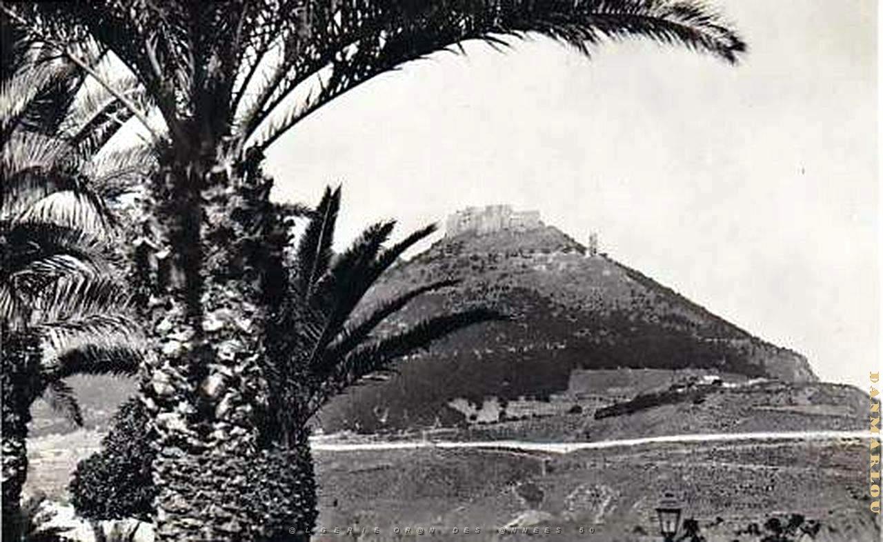 B 026- Djebel Murdjadjo- Vue generale.jpg